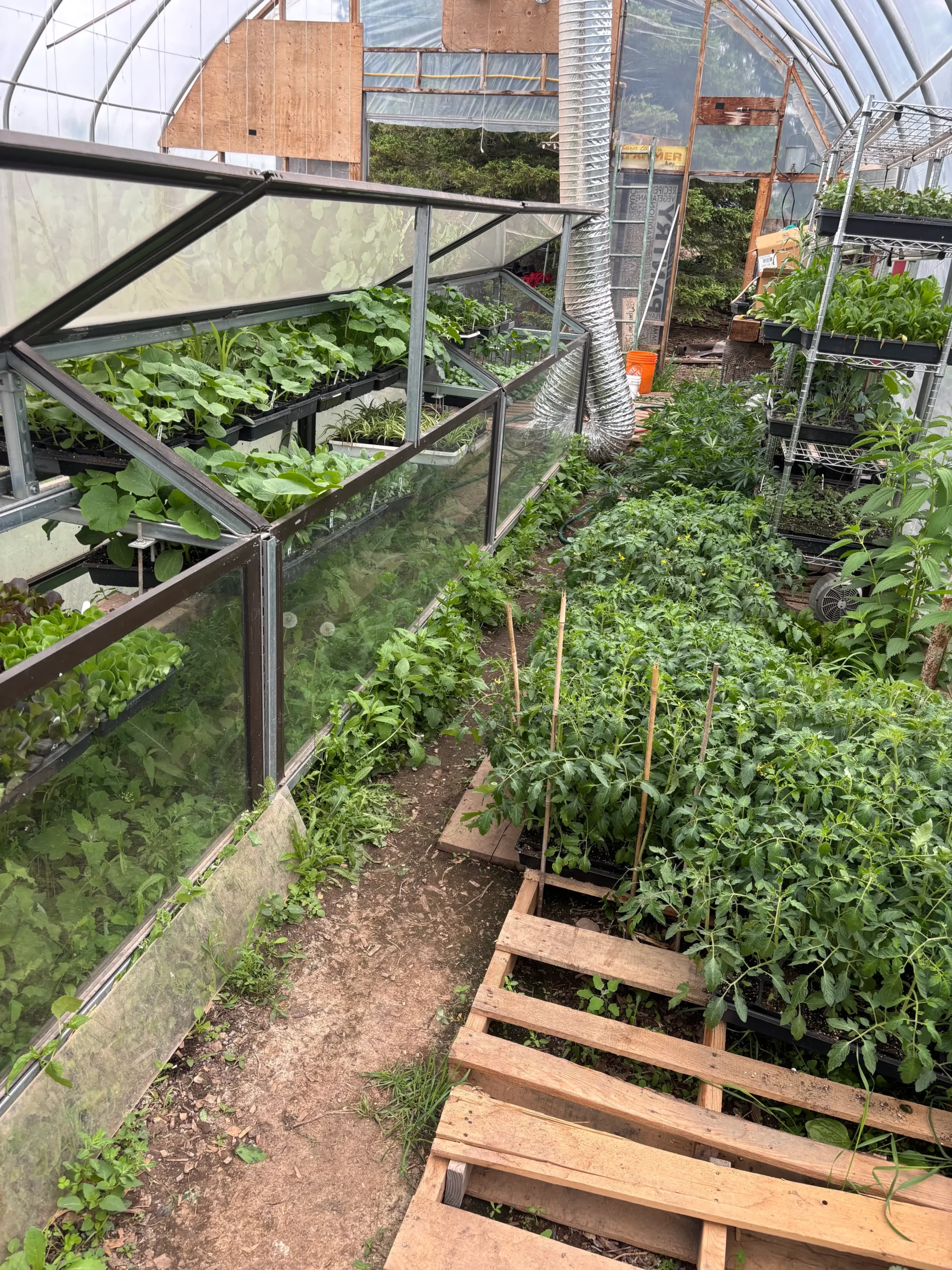 Nourishing Connections